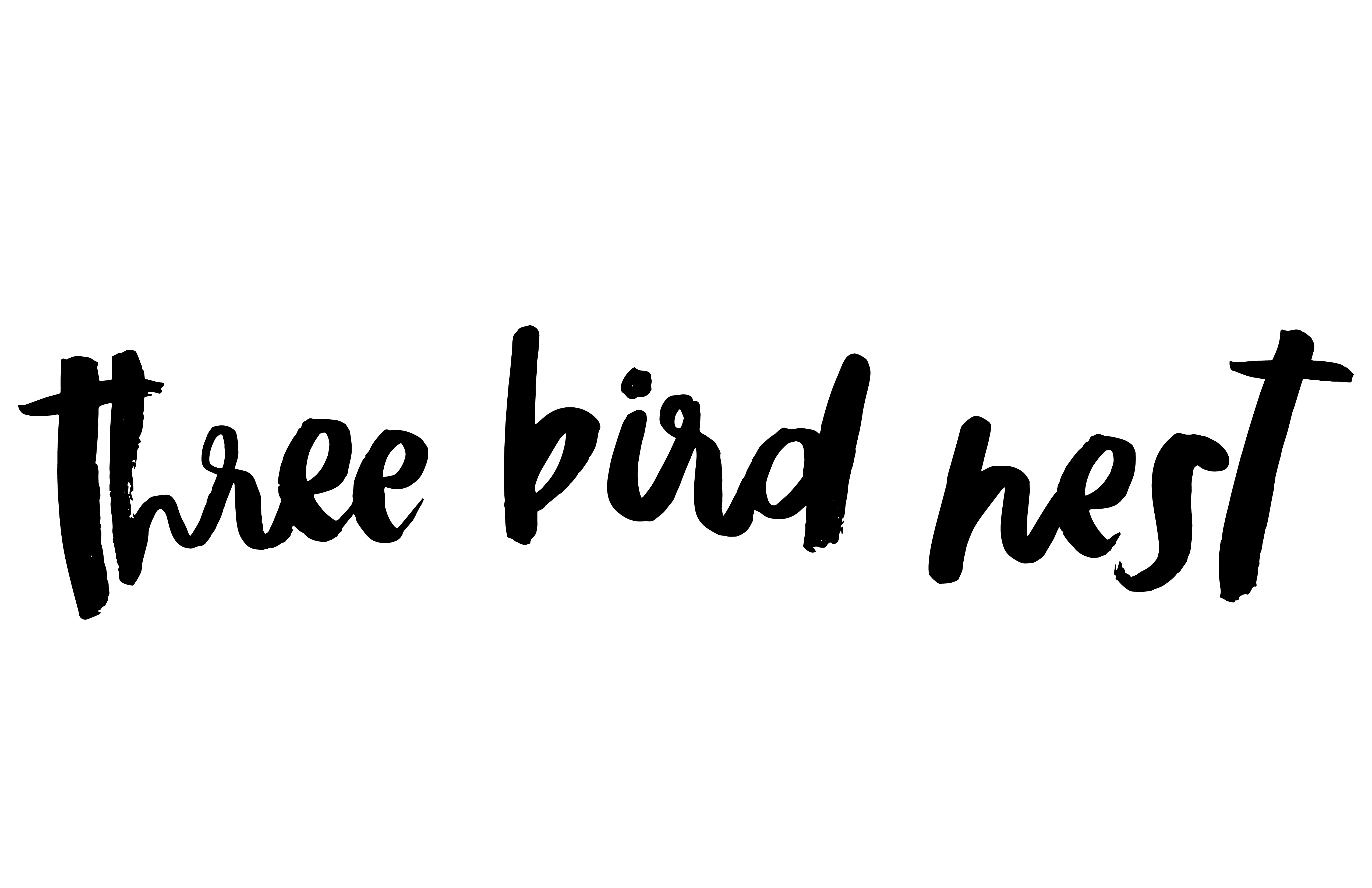 3 BN Final Logo Black